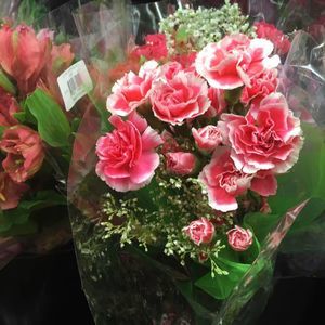 Meet your Posher, Alice